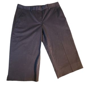 NWT Dkny Shorts Long Bermuda Style Dark Navy Blue Womens Size 4